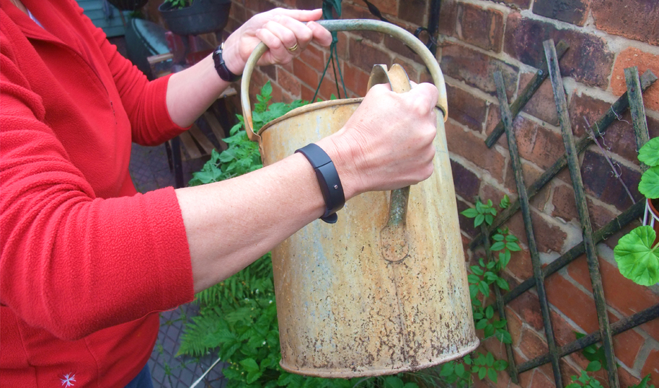 Wrist-worn activity monitor 1